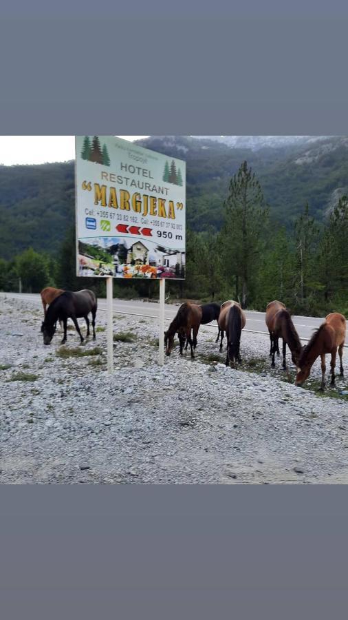 Hotel Margjeka فالبني المظهر الخارجي الصورة